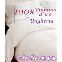 Piumone 100% Piumino Ungheria 180gr.mq 1 piazza ½ Piumone 100% Piumino Ungheria 180gr.mq 1 piazza ½