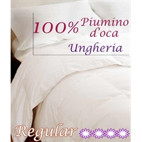Piumone 100% piumino Ungheria 280gr.mq 1 piazza ½ Piumone 100% piumino Ungheria 280gr.mq 1 piazza ½