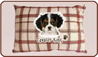 cuscino cuccia