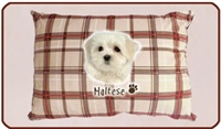 cuscino Maltese