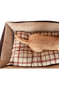 Cuccia divano British per cani taglia grande
