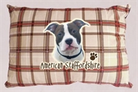 cuscino cuccia