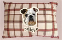 cuccia per Bulldog divano sfoderabile