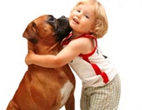 cuccia  tappeto per cane Boxer