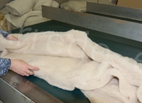 futon puro cotone lana cocco h16cm matrimoniale 